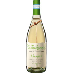 Pecorino DOC Tralcetto Zaccagnini Pecorino DOC Tralcetto Zaccagnini