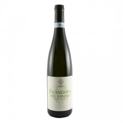 Falanghina del Sannio DOC Mastroberardino Falanghina del Sannio DOC Mastroberardino