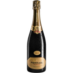 Schaumwein Spumante Ferrari Perle Trento Brut DOC