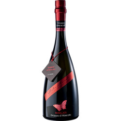 Grappa Moscato Farfalle Marcati